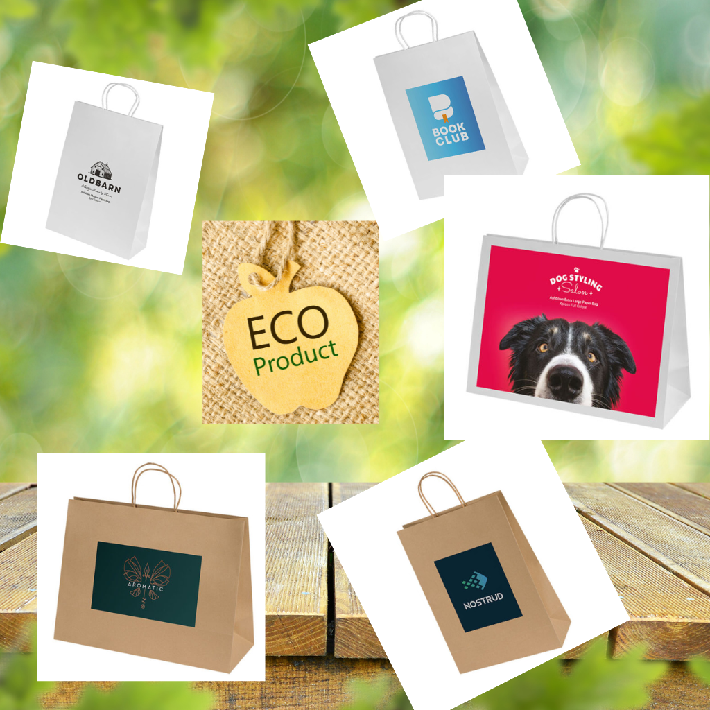 Eco-Friendly Kraft Paper Gift Bag with Full-Colour Print